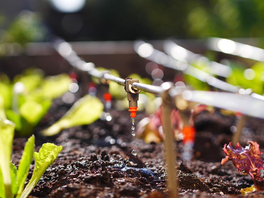 Irrigation system