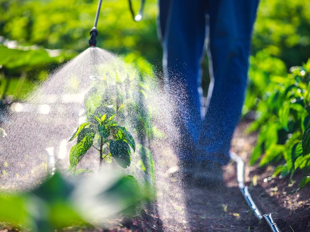 insecticides