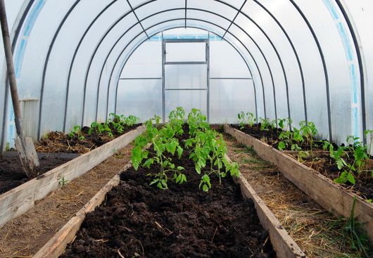 Greenhouse structure